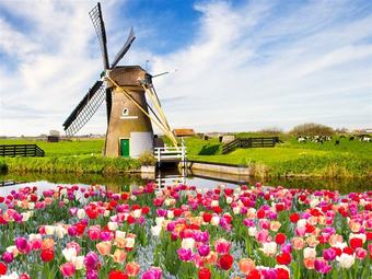 Du lịch Hà Lan mùa nào đẹp nhất 