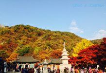 Kinh nghiệm du lịch Hàn Quốc