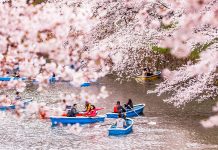 Du lịch Nhật Bản mùa xuân