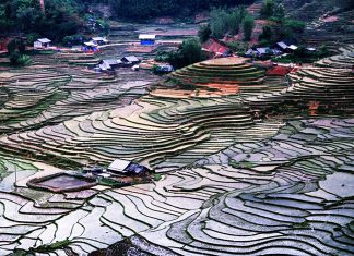 Chiêm ngưỡng vẻ đẹp kỳ vĩ của những thửa ruộng bậc thang Yên Bái