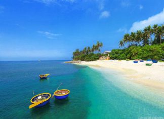 Điểm danh những tour du lịch Quy Nhơn tết 2020