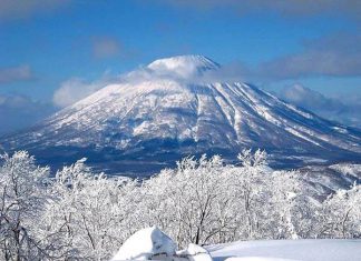 Du lịch Nhật Bản vào mùa Đông: Ăn gì, chơi gì?