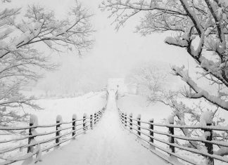 Kinh nghiệm du lịch Nhật Bản vào mùa Đông