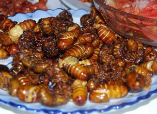 Du lịch Trung Quốc chỉ để thưởng thức những đặc sản này!