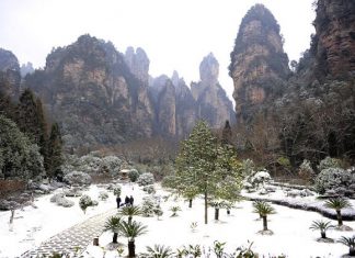 Trương Gia Giới bất chợt trở thành chốn bồng lai khi Đông về