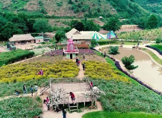 Những tour du lịch trong nước tết nguyên đán 2020 bạn nên đi