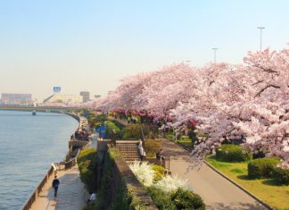 Cần mang theo những gì khi du lịch Nhật Bản?