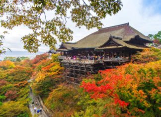 Du lịch Nhật Bản mùa nào lý tưởng nhất trong năm?