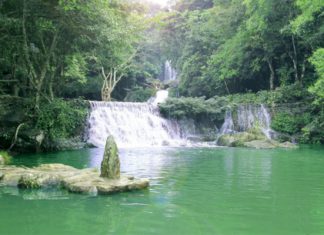 Chia sẻ kinh nghiệm du lịch Khoang Xanh – Điểm đến lý tưởng tại Suối Tiên