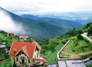 Review du lịch Tam Đảo dành cho những bạn trẻ thích trải nghiệm