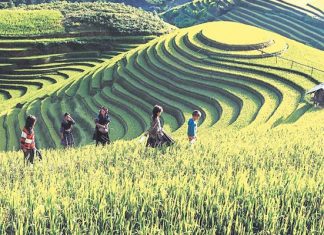 Miền Bắc Việt Nam – Điểm du lịch lý tưởng mùa thu với những lễ hội