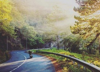 Tổng hợp những kinh nghiệm thuê xe máy giá rẻ trong chuyến du lịch Đà Lạt