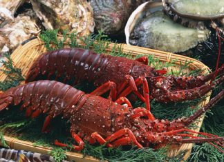 Những món ăn đặc sản Côn Đảo ngon không tưởng dành cho du khách