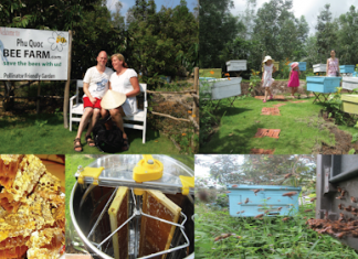 Hòn Thơm còn rất hoang sơ, rất đáng để khám phá khi đi tour Phú Quốc