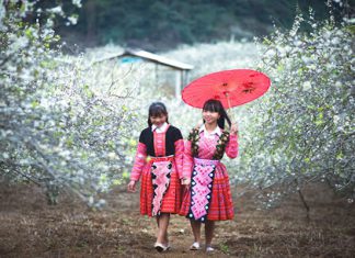 Khám phá những phong tục kỳ là trong chuyến du lịch ở Việt Nam