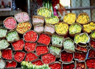 Khám phá chợ hoa Hồ Thị Kỷ – Thiên đường ẩm thực và hoa tươi ở Sài Gòn