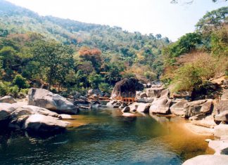 Khám phá vườn quốc gia Yok Đôn khu rừng đặc dụng lớn nhất tại Việt Nam