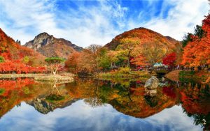 Tham khảo kinh nghiệm du lịch Hàn Quốc mùa thu cần thiết nhất