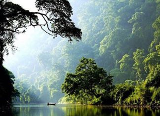 Kinh nghiệm hữu ích dành cho du khách du lịch Bắc Kạn tự túc Kinh nghiệm hữu ích dành cho du khách du lịch Bắc Kạn tự túc