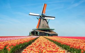 Chiêm ngưỡng vẻ đẹp lãng mạn của vườn hoa Keukenhof khi du lịch Hà Lan