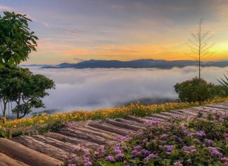 Lưu lại ngay 6 tọa độ săn mây cực chill khi đi tour du lịch Đà Lạt Lưu lại ngay 6 tọa độ săn mây cực chill khi đi tour du lịch Đà Lạt