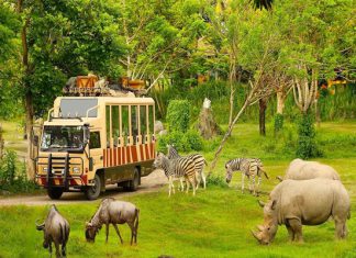Trọn bộ kinh nghiệm đi Vinpearl Safari cho khách du lịch Phú Quốc 2023 Trọn bộ kinh nghiệm đi Vinpearl Safari cho khách du lịch Phú Quốc 2023