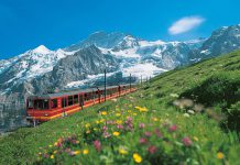Check in 5 tuyến đường sắt ngắm cảnh tuyệt đẹp khi du lịch Thụy Sĩ