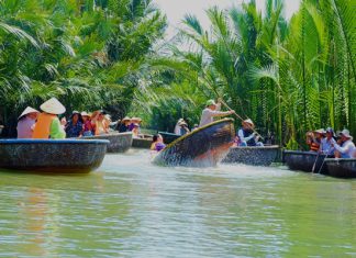 Khu du lịch rừng dừa Bảy Mẫu: Giá vé thuyền thúng 2023 Khu du lịch rừng dừa Bảy Mẫu: Giá vé thuyền thúng 2023