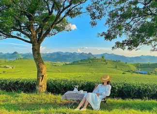 Check in 20 địa điểm du lịch Sơn La níu kéo du khách gần xa Check in 20 địa điểm du lịch Sơn La níu kéo du khách gần xa