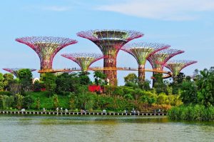 Du lich Singapore