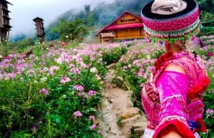 Du lịch Sapa